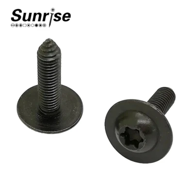 Pan Head Torx Socket Machine Tapping Automotive Skrue