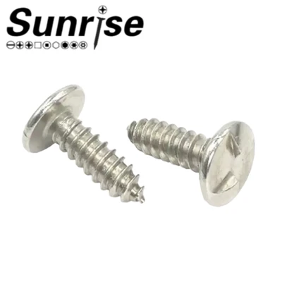 Pan Truss Head Clutch One Way Security Rund selvskjærende skrue